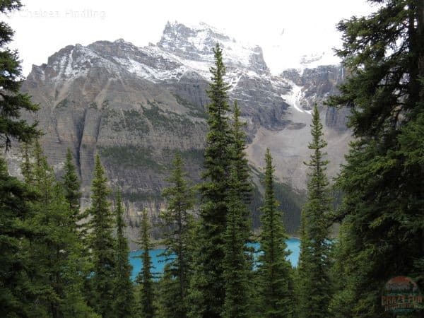 Moraine Lake can be seen through the trees.