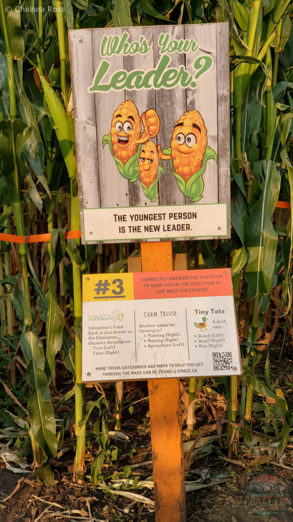 Fall Experiences Near Me include quizzes in the maze to help us get to the end.