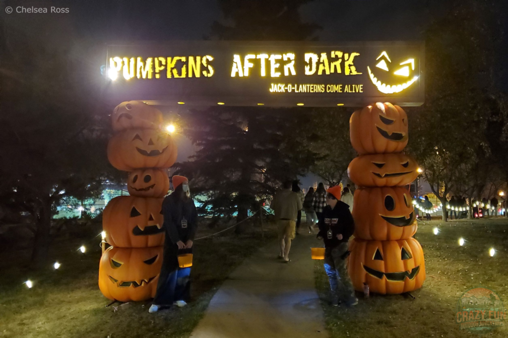 Fall Experiences Near Me include Pumpkins After Dark.