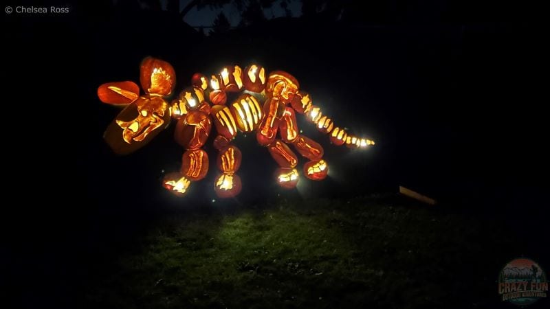 Fall Experiences Near Me include a dinosaur carved into the pumpkins.