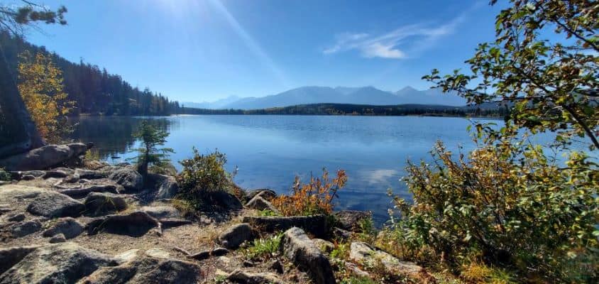 The gorgeous Pyramid Lake showing gorgeous yellow leaves across the lake.