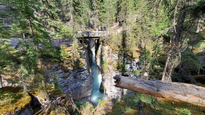 Maligne Canyon 