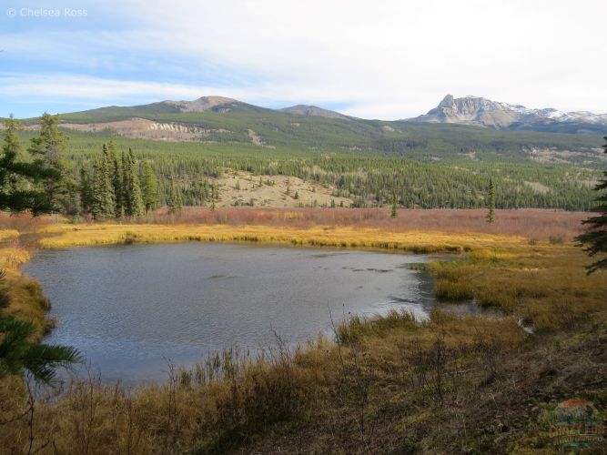 The last lake is more of a brown colour with mountains behind it.
