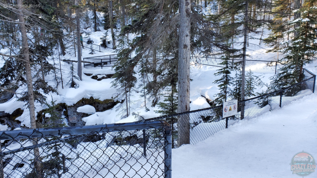 The trail at the top of Maligne Canyon Winter Hike.