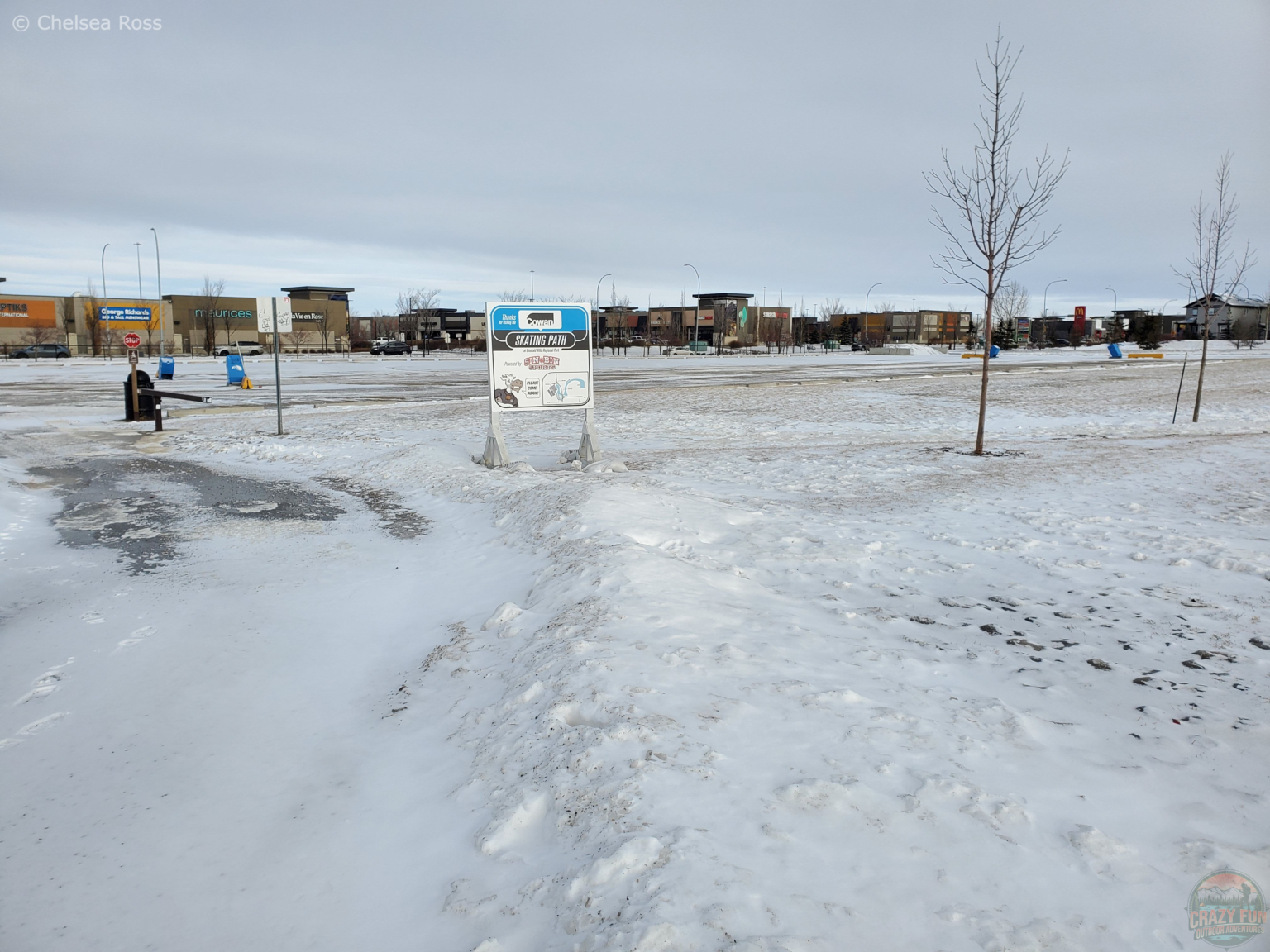 Places to Skate Near Me Crazy Fun Outdoor Adventures