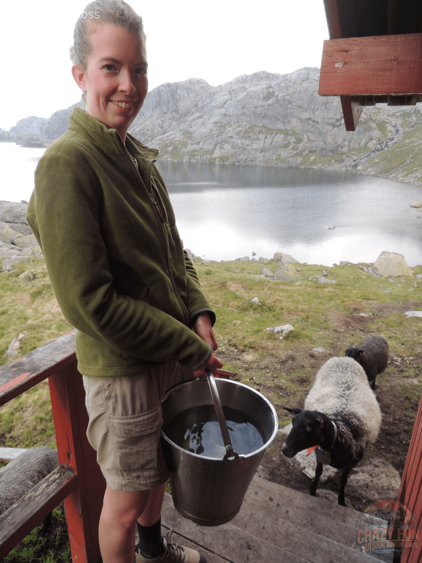 I just got a bucket of water while chasing sheep away.