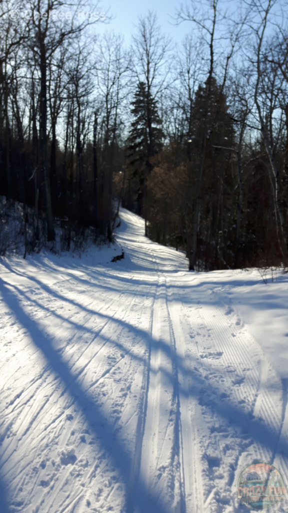 Downhill ski tracks at Goldbar Park.