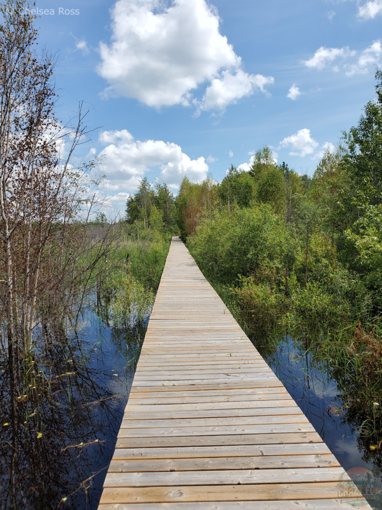 Looking forward at a boardwalk.