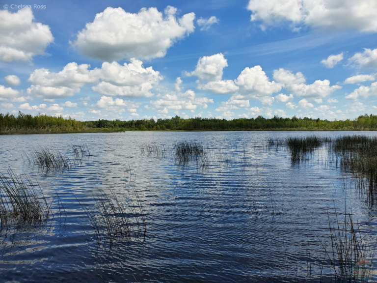 Fun Hikes Near Me Exploring Nearby Trails for a Delightful Adventure