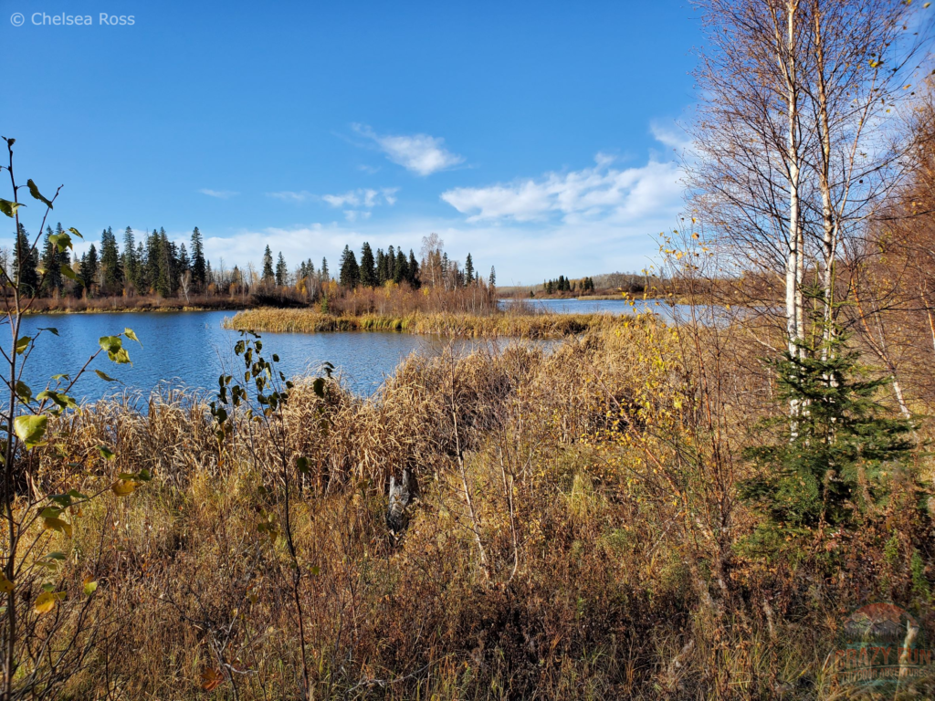 Looking at ponds at Cooking Lake-Blackfoot.