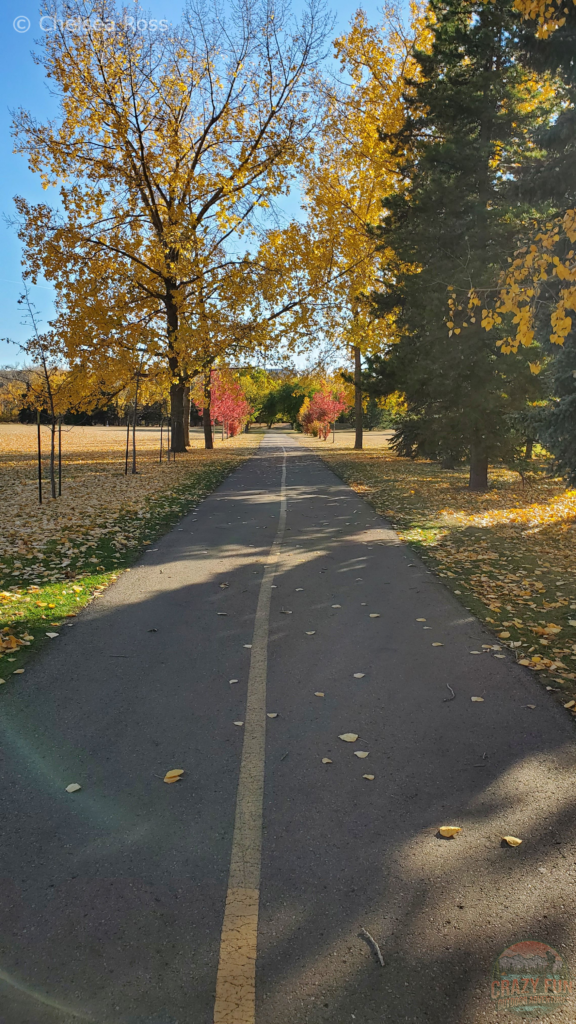 Easy hiking near me at Rundle Park.