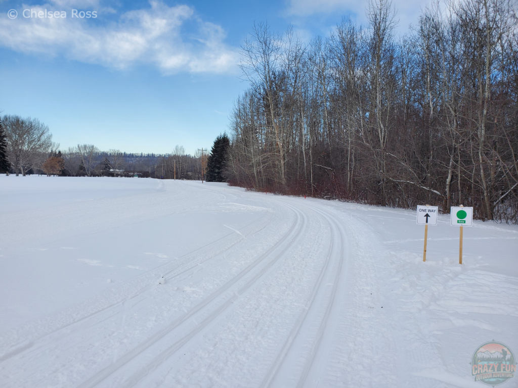 Easy green classic cross-country skiing tracks.