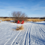 XC skiing near me includes the river loop with red chairs in St. Albert.