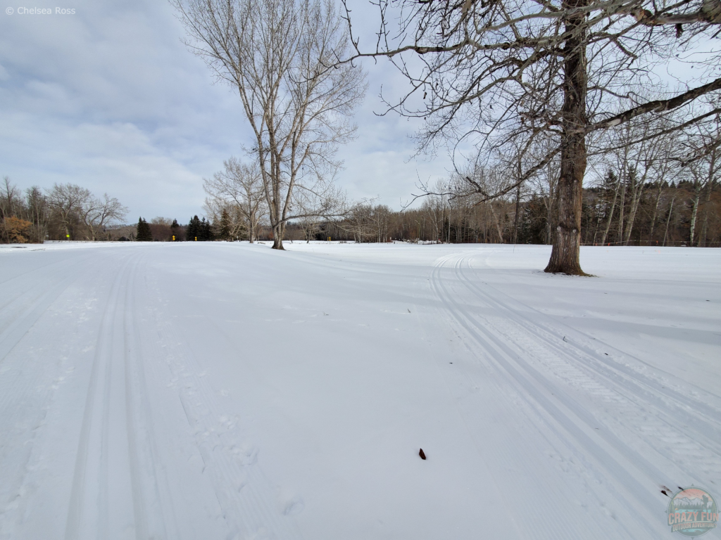 xc skiing near me in Lions Park.