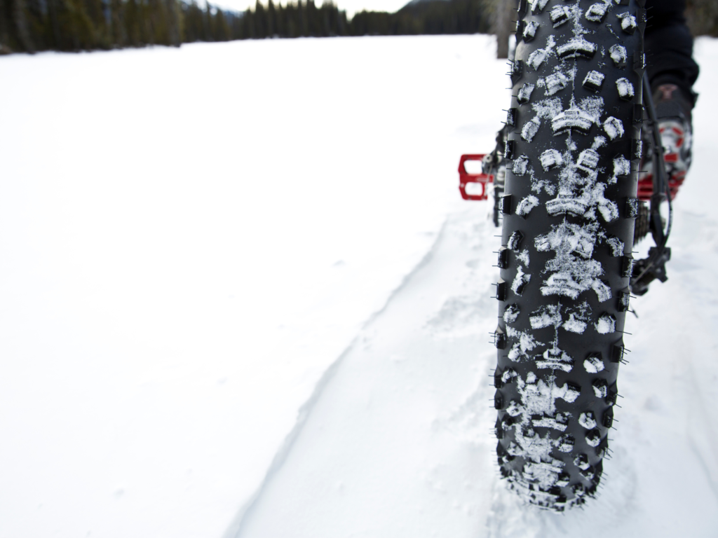 A fat biking tire on a trail.