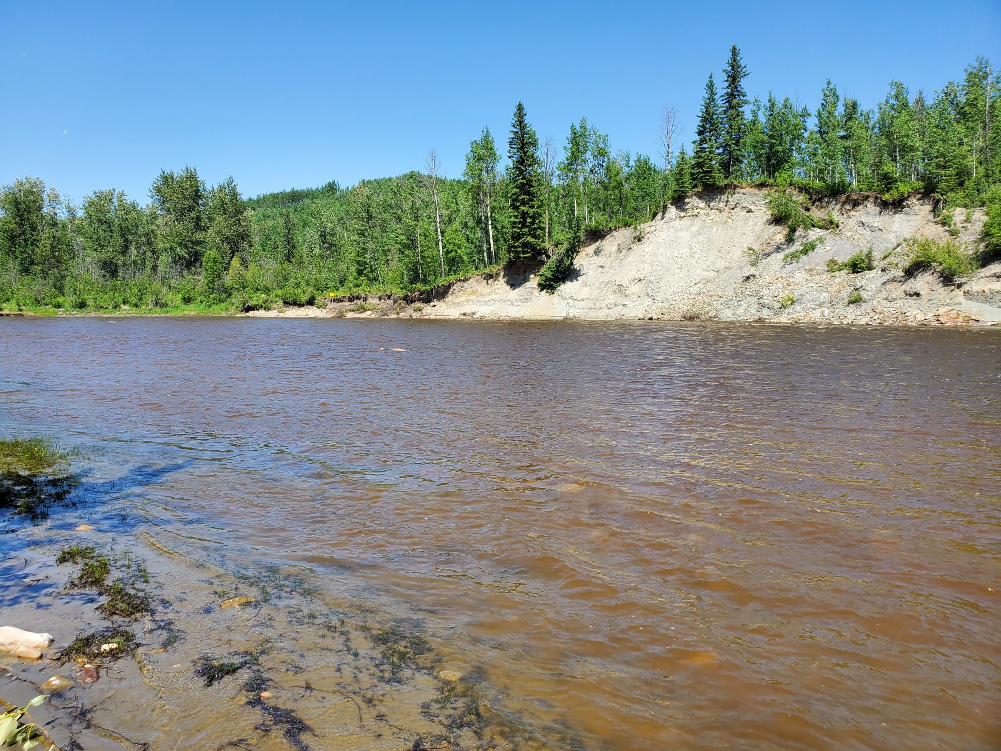 Easy Hiking Near Me Crazy Fun Outdoor Adventures