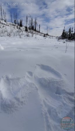 Snow angel