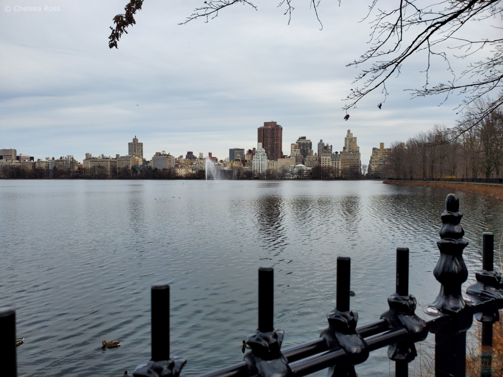 Looking at the lake in Central Park.