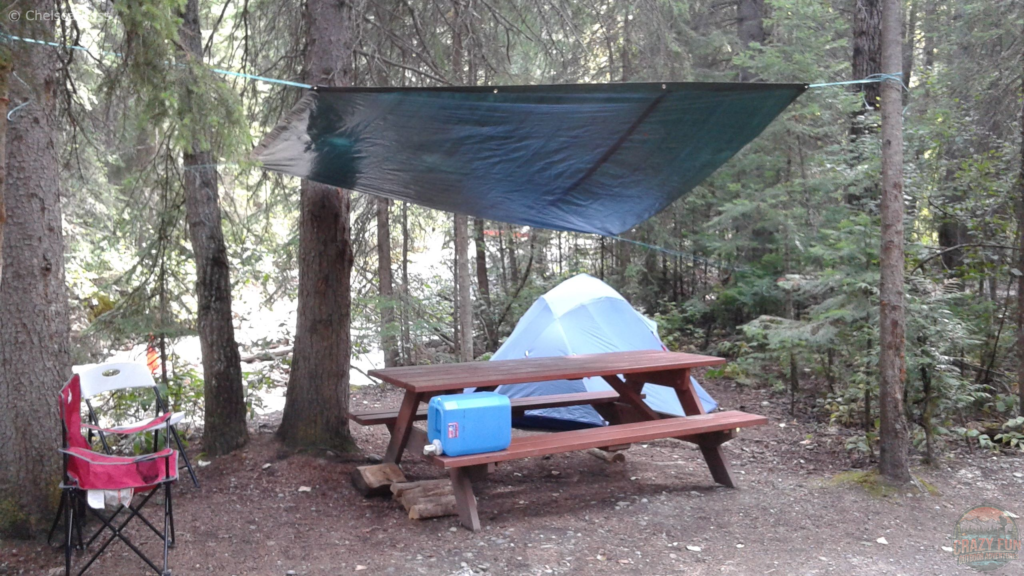 Campsites with showers: Kicking Horse campground.