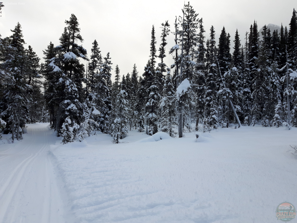 Enjoy winter wonderland Banff cross-country skiing in the fluffy snow. 