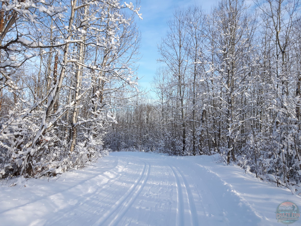 Love cross-country skiing to be in nature. Looking at two sets of tracks with snow of the trees.