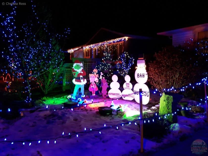 Walk down Candy Cane Lane to look at the festive lights. 