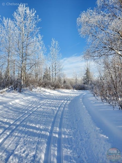 Winter activities near me include cross-country skiing at Cooking Lake-Blackfoot. Two tracks are on each side of the trail with snow covered trees on both sides.