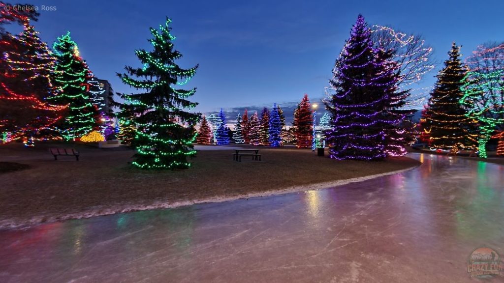 Looking at a skating oval heading around the Christmas lights on the trees. 