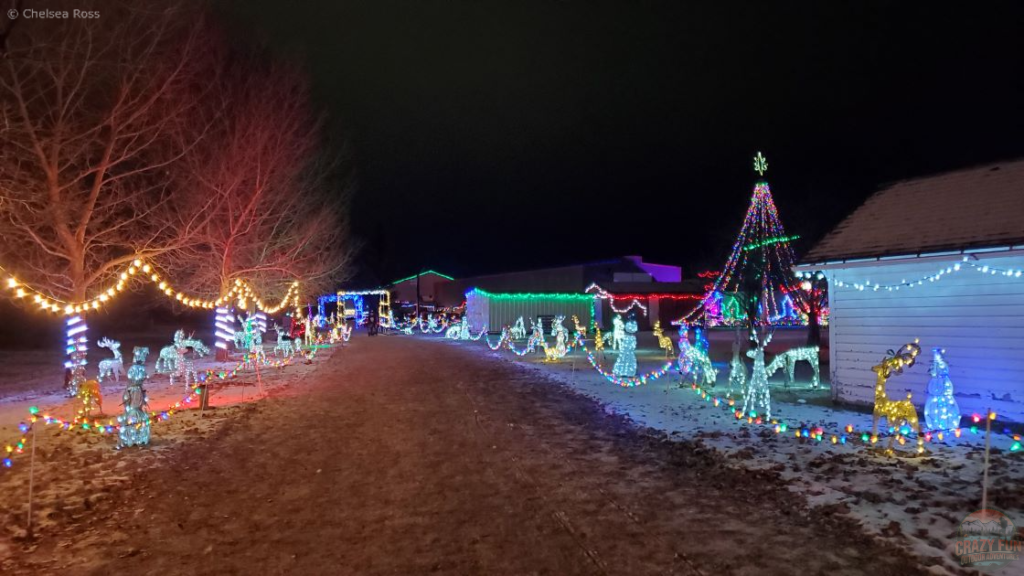 Walking down Leduc Country Lights. 