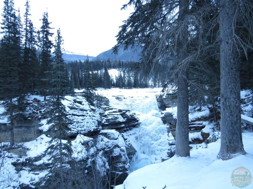 A picture of frozen Athabasca Falls.
