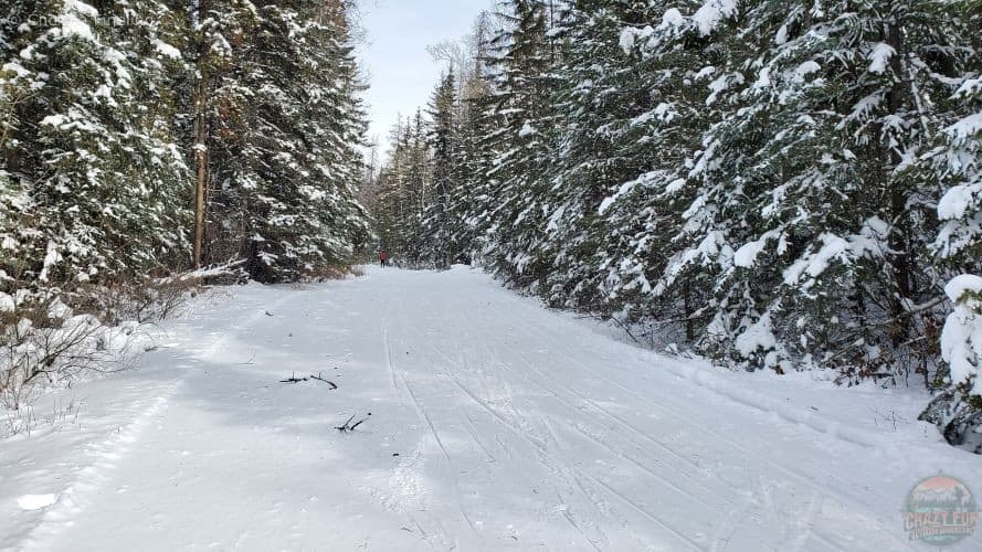 Ski Pyramid Lake Road in the winter wonderland.