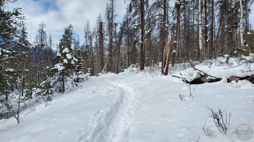snowy trail