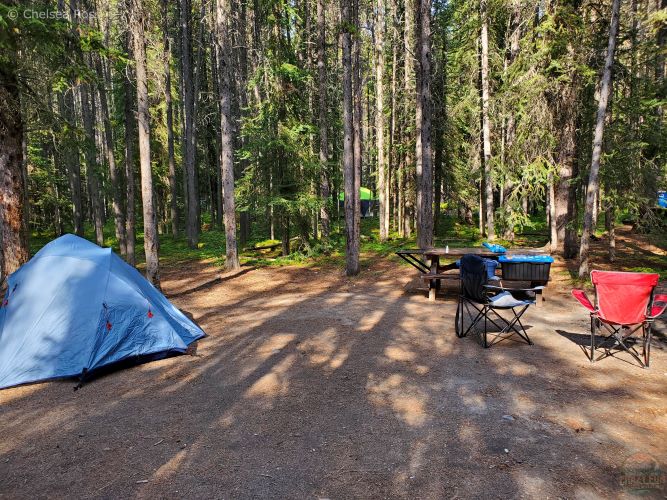 Waterfowl Lakes campsite