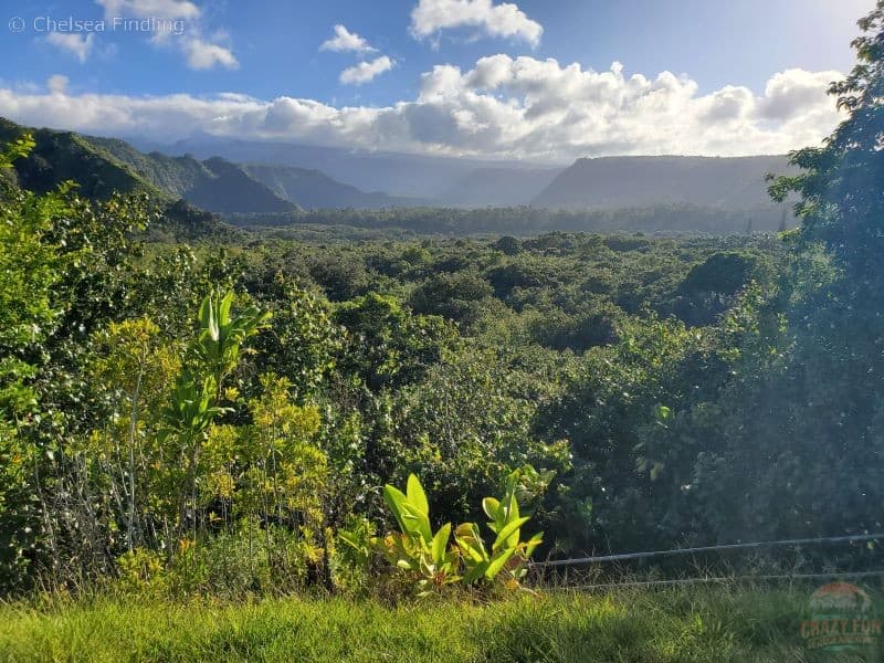 Wailua Valley State Wayside