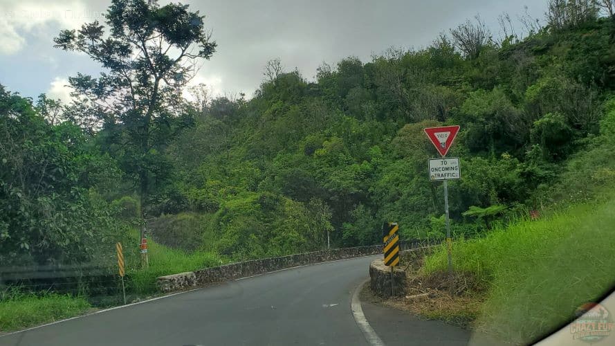 Activities in Maui for couples include the road to Hana.