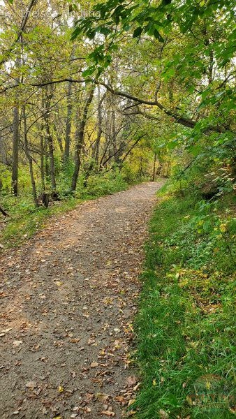 Mill Creek Ravine North