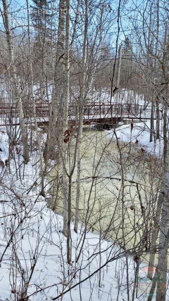 Walking over a bridge in snow