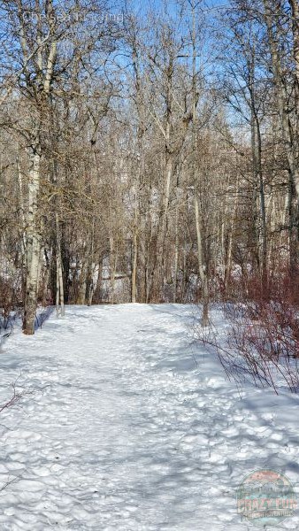 Walking path with snow