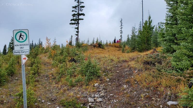 Hiking Near Nordegg includes Baldy Canyon. 