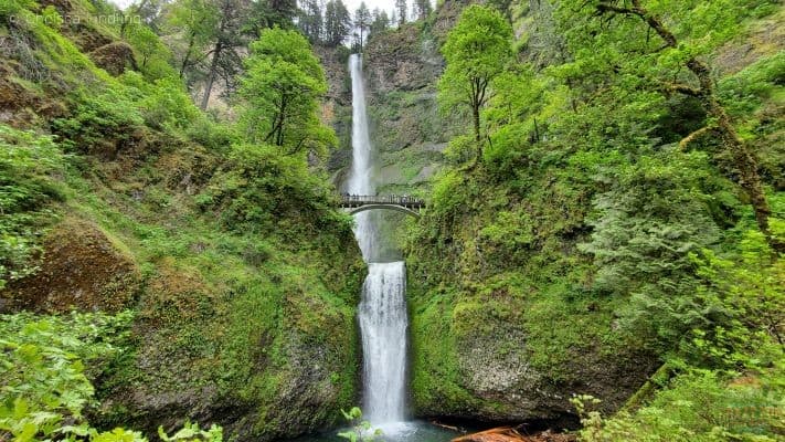 Hikes near Portland includes Multnomah Falls.