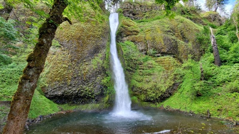 Half-Day Columbia River Gorge and Waterfall Hiking Tour