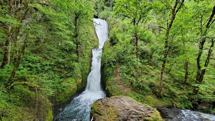 Hikes near Portland includes Bridal Veil Falls.