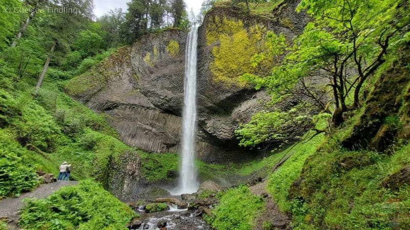 Hikes near Portland includes Latourell Falls.