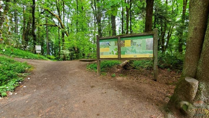 Hikes near Portland includes Wildwood Trails. 