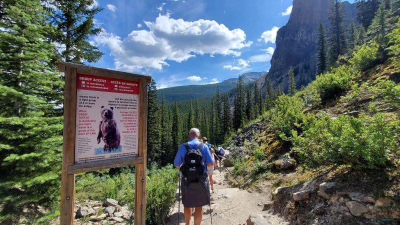 Bear warning to walk in groups.