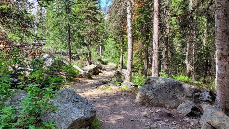 Trail towards Consolation Lakes