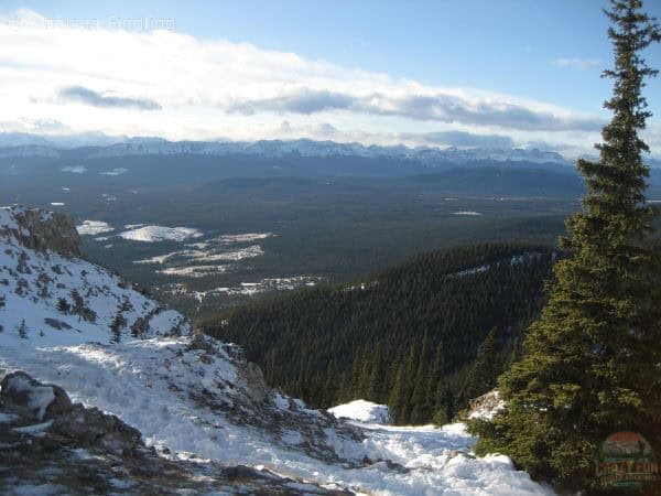 Hiking Near Nordegg at Coliseum Mountain.