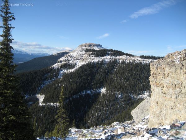 View from Coliseum Mountain