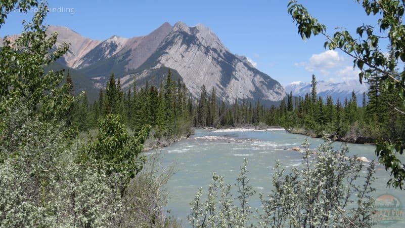 Hiking Near Nordegg includes Siffleur Falls.