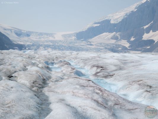 Hikes near Banff include Athabasca Glacier.